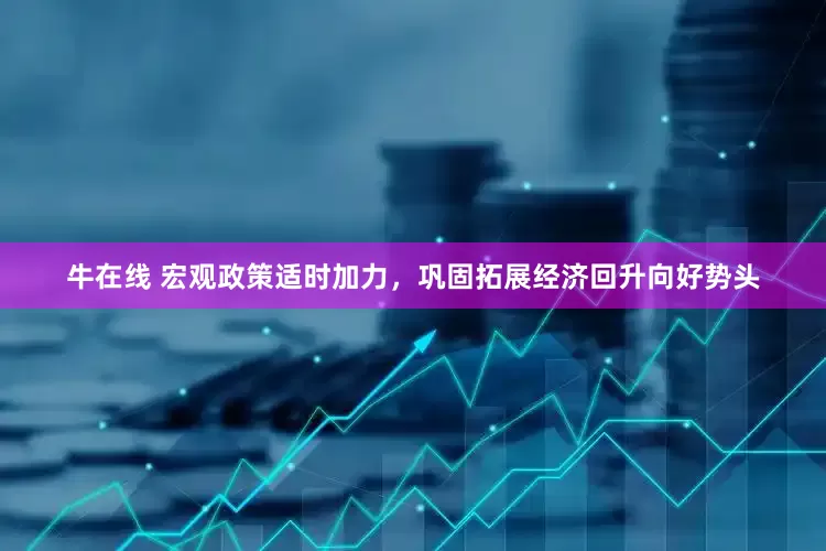牛在线 宏观政策适时加力，巩固拓展经济回升向好势头