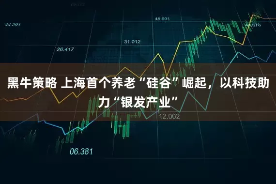 黑牛策略 上海首个养老“硅谷”崛起，以科技助力“银发产业”