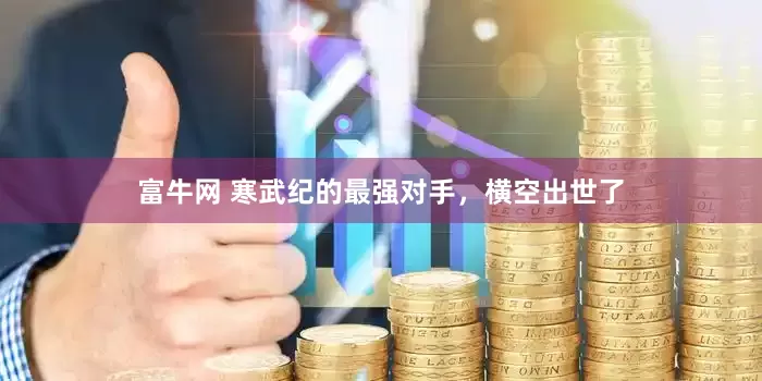 富牛网 寒武纪的最强对手，横空出世了