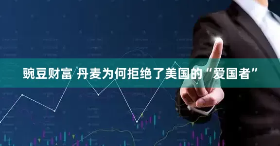 豌豆财富 丹麦为何拒绝了美国的“爱国者”