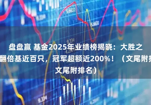 盘盘赢 基金2025年业绩榜揭晓：大胜之年，翻倍基近百只，冠军超额近200%！（文尾附排名）