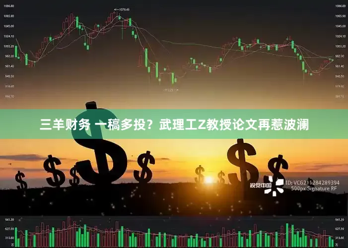 三羊财务 一稿多投？武理工Z教授论文再惹波澜