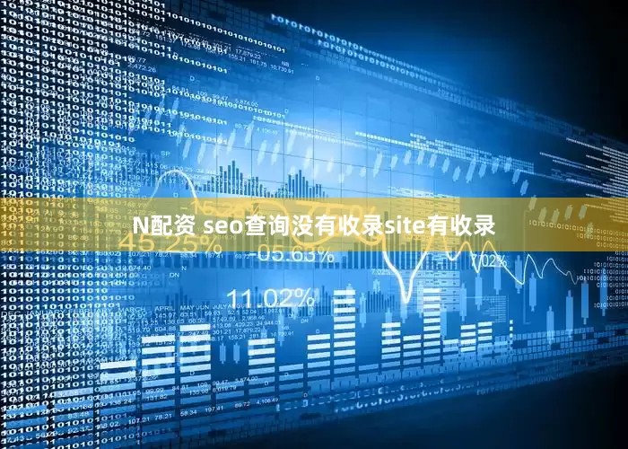 N配资 seo查询没有收录site有收录
