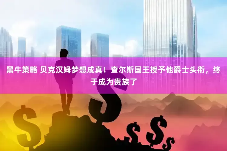 黑牛策略 贝克汉姆梦想成真！查尔斯国王授予他爵士头衔，终于成为贵族了